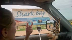Shark Bay